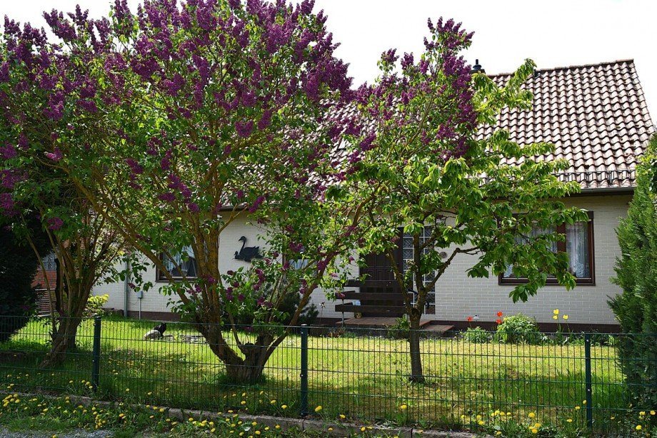  Einfamilienhaus Lamspringe