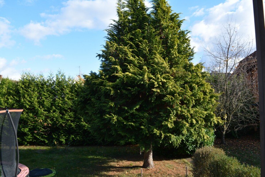 Garten Einfamilienhaus Gronau (Leine)